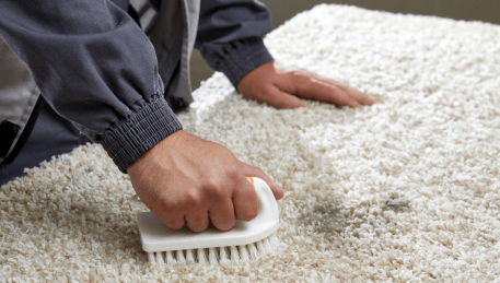 Professional Rug Cleaning Invermay